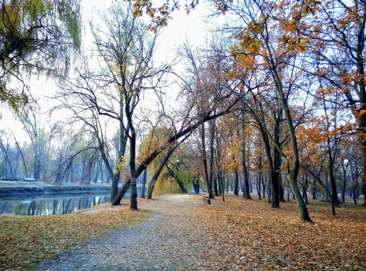 Парк «Дубовый Гай» («Дубовка») в Запорожье — Зона отдыха